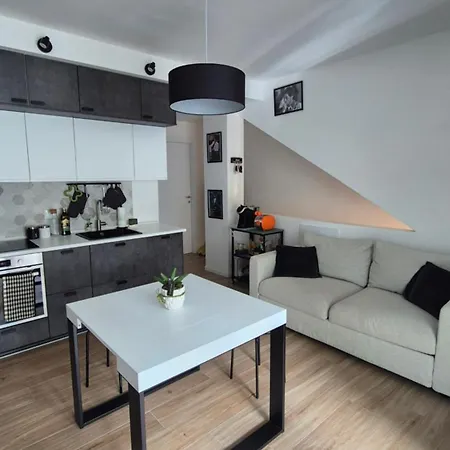 Jami House Apartament *