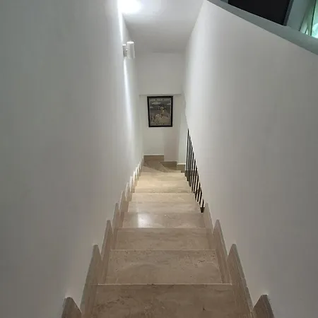 Jami House